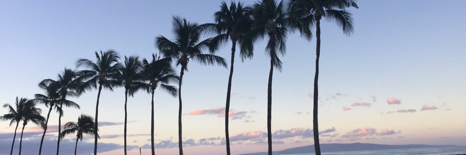 ThisLittleLambe's profile banner image