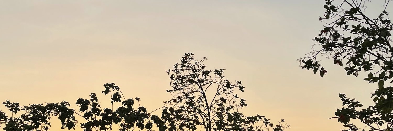 f__alketbi__'s profile banner image
