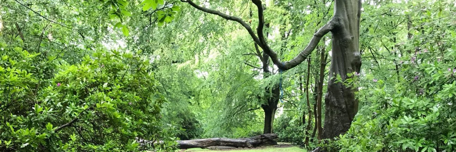 Ailsa Fidler (ramble14@bsky.social) banner