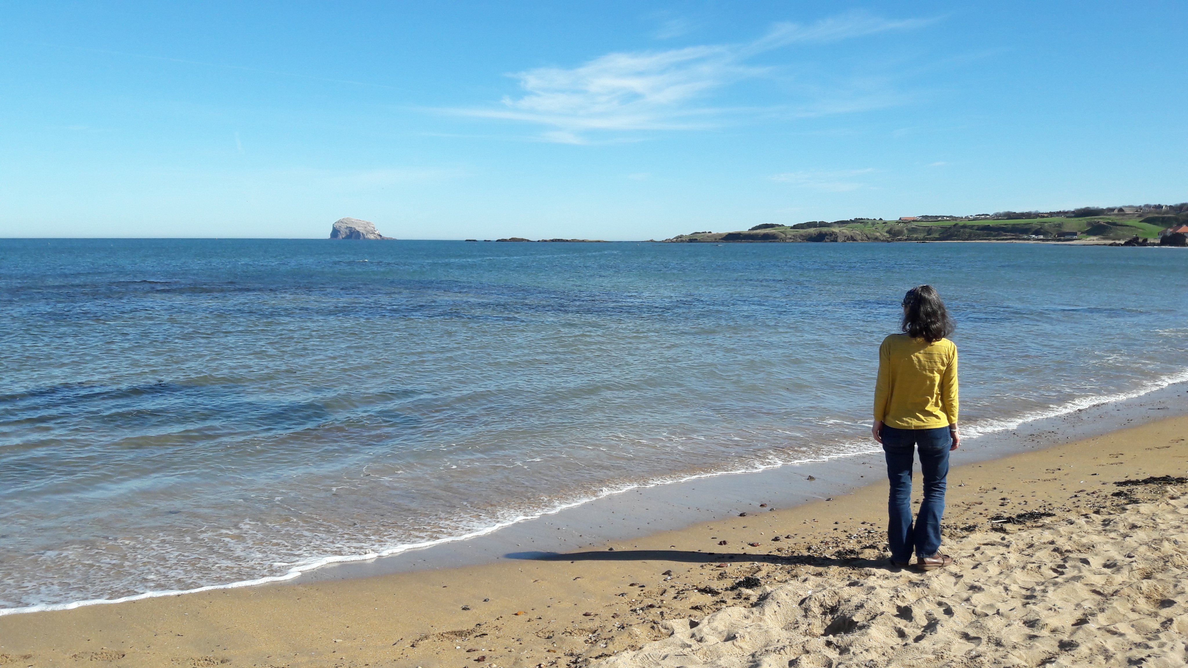 Maria Carnegie banner