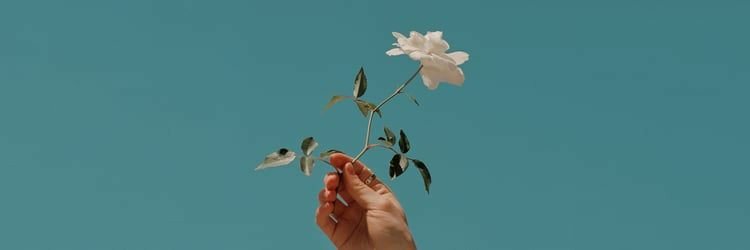 moanalabyrinth's profile banner image