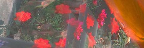 RMAmmons's profile banner image