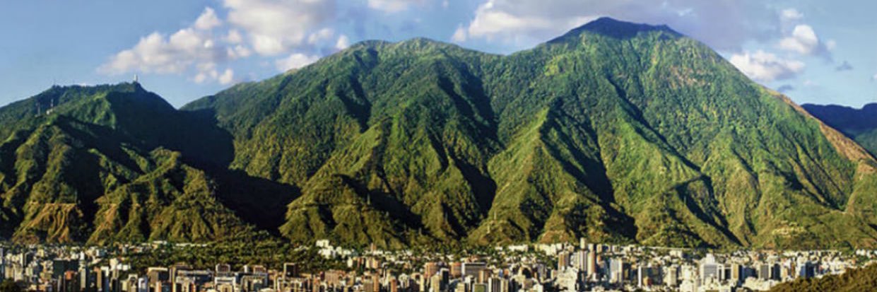 BarbaraBizzini's profile banner image