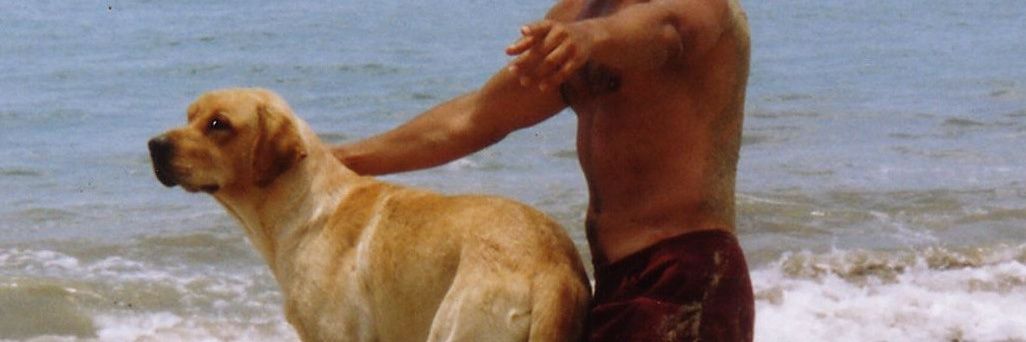 ofiguer's profile banner image