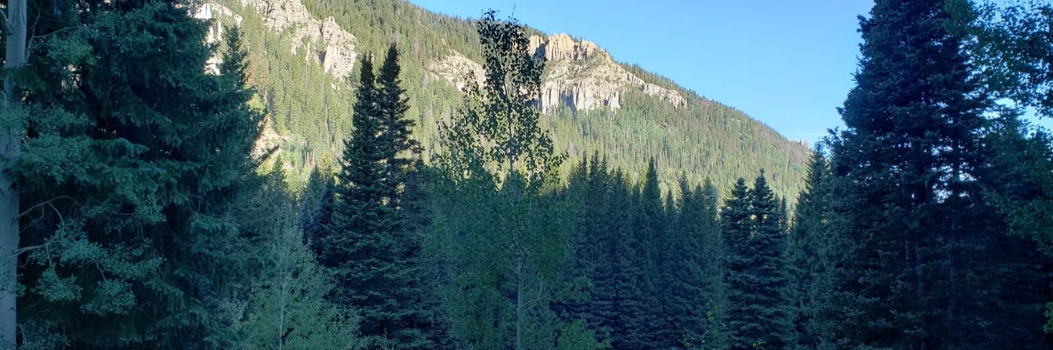 AddisonEllis23's profile banner image