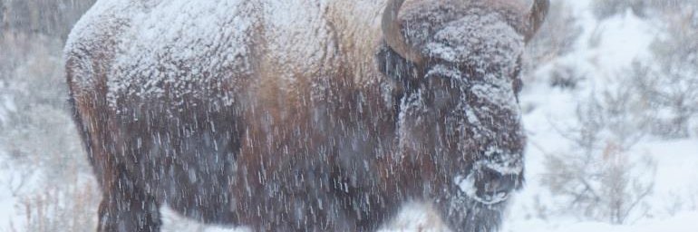 KENNTODD's profile banner image