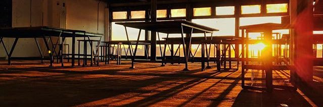 Cami Del Vecchio banner