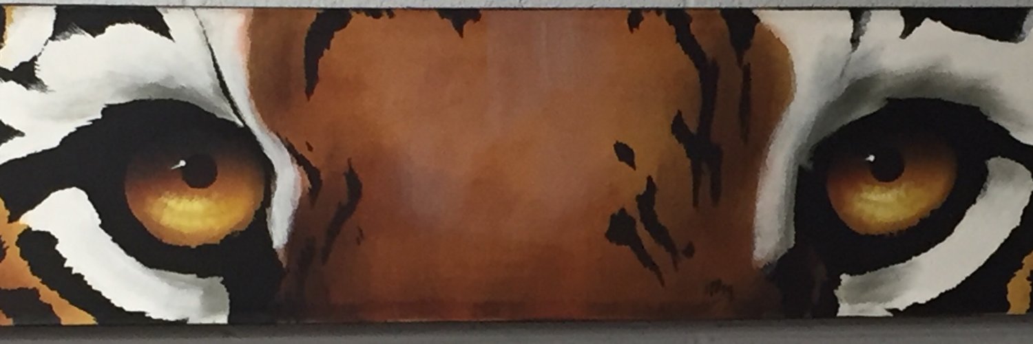 NevadaHSlibrary's profile banner image
