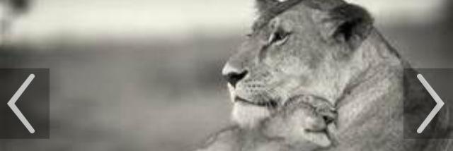 ayoabob's profile banner image
