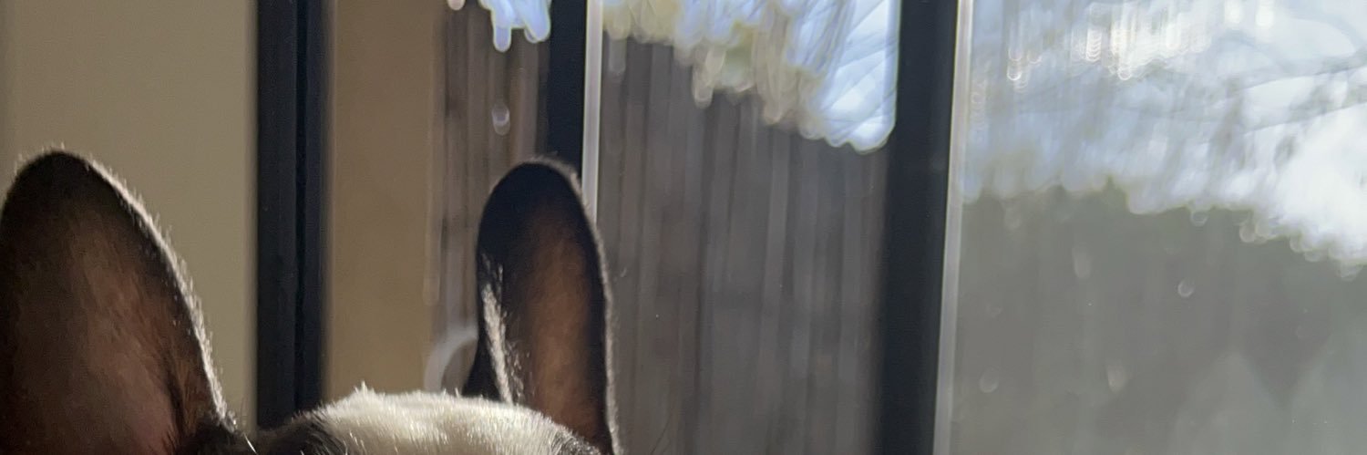 luli_barone's profile banner image