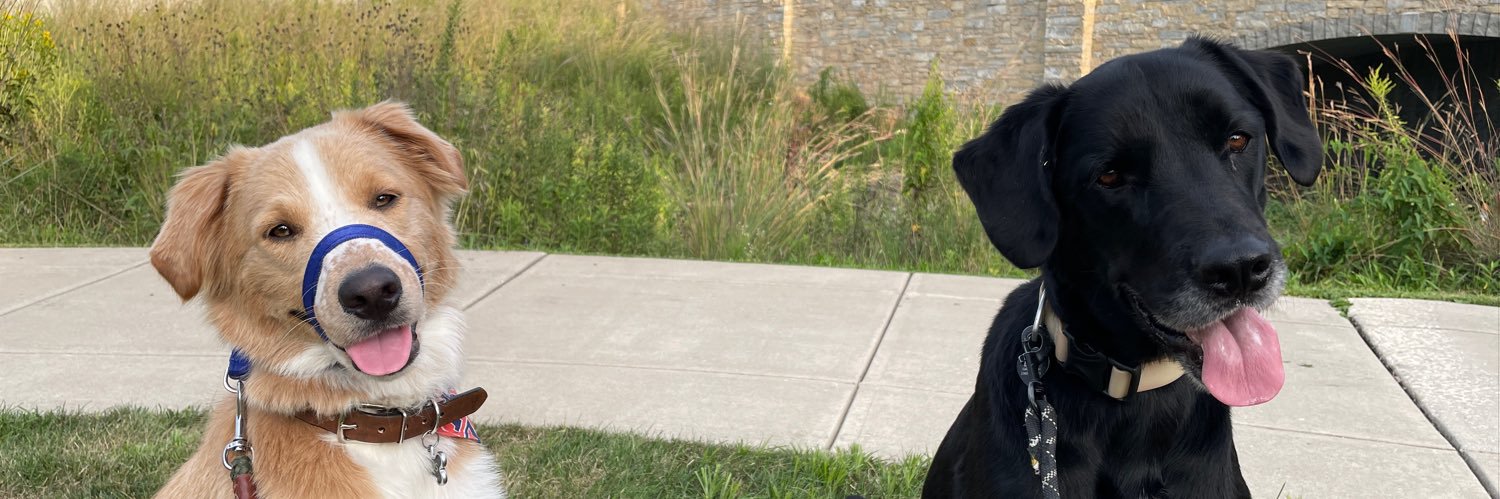 juliakapow's profile banner image