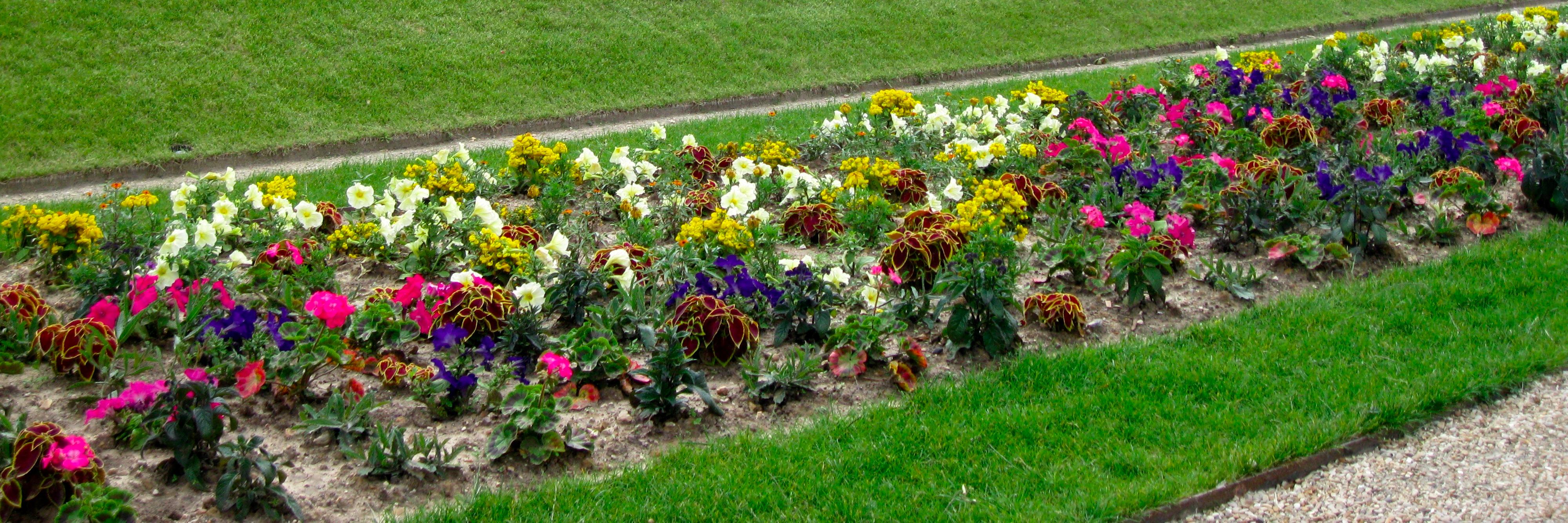 Dr. Sari Fein banner