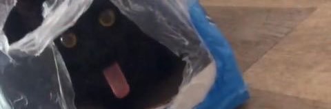 S0I7O2B0H8A4N's profile banner image