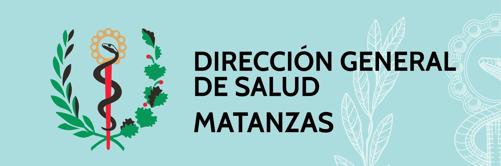 Dirección General Salud Matanzas banner