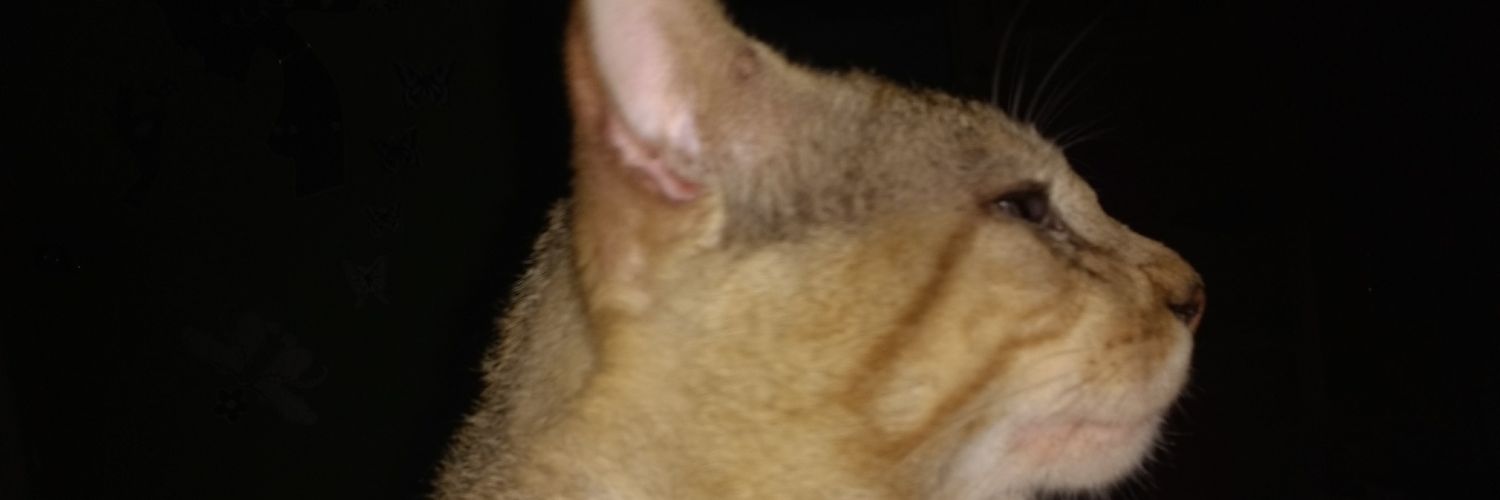 michael_032's profile banner image