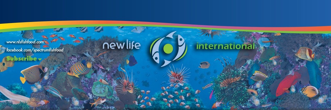 newlifespectrum's profile banner image