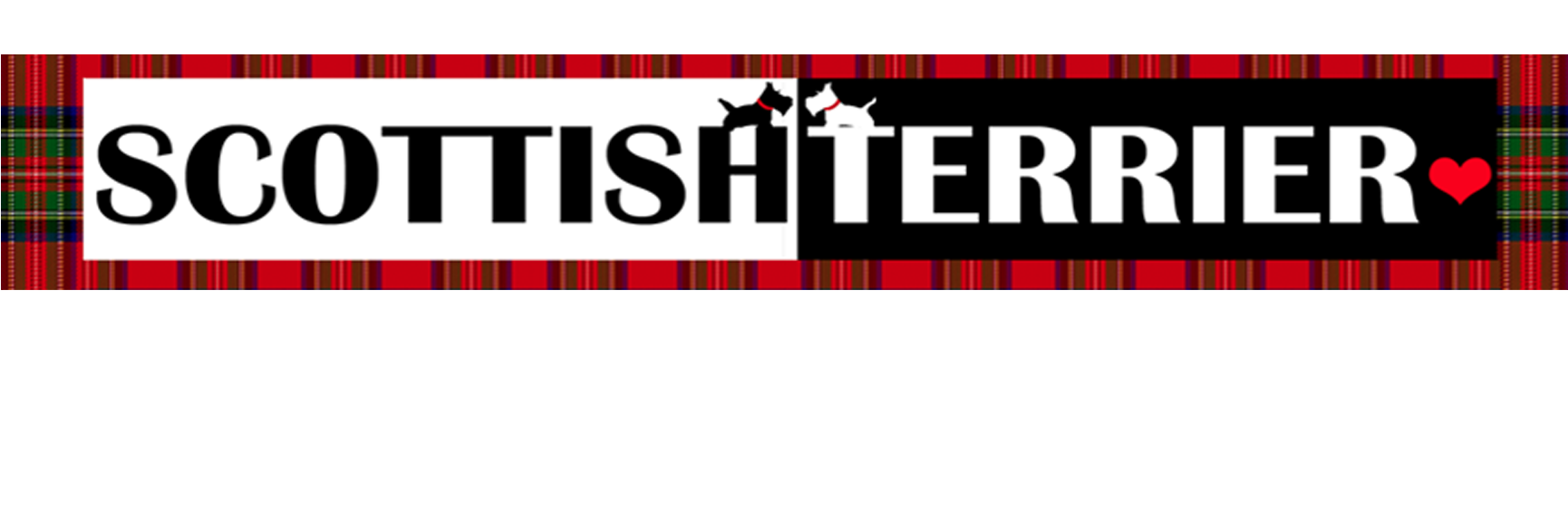 FTLOSTerriers's profile banner image