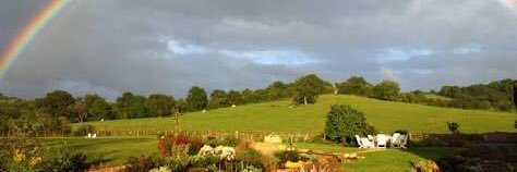 Ebru Kasap Yegen banner