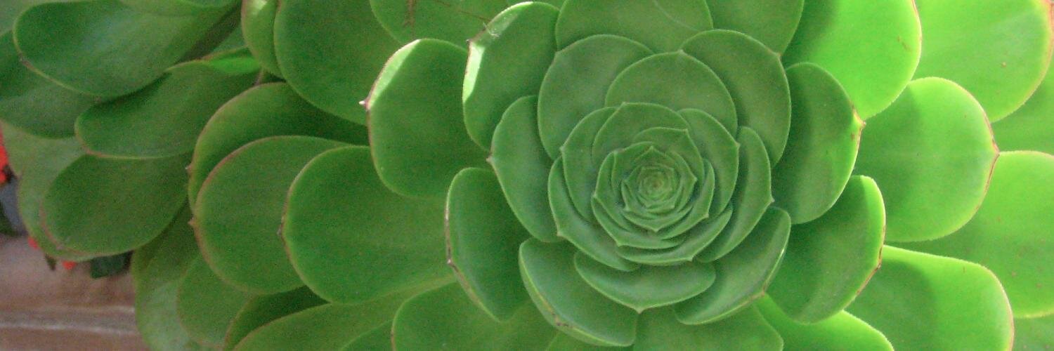 drstephsmith's profile banner image