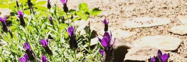 malabar56 Profile Banner