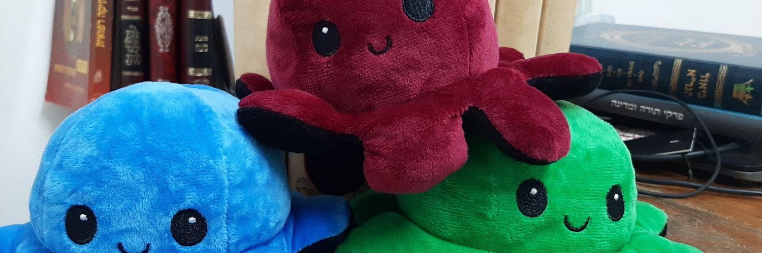 נעם ויס banner