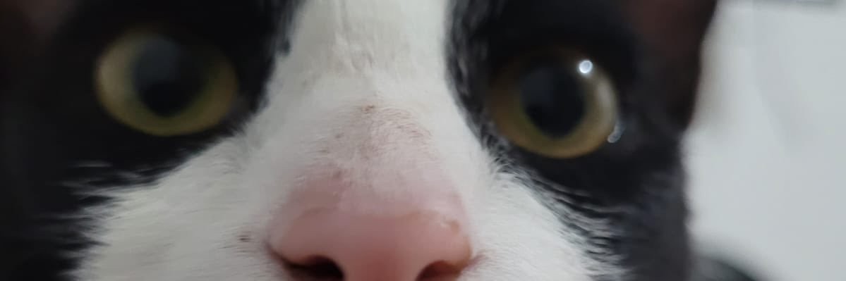 cynmss's profile banner image