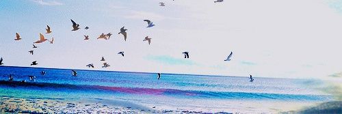 salgado_vilma's profile banner image