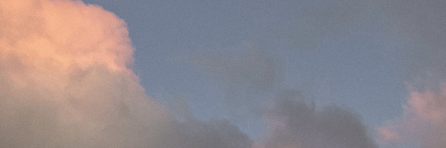 NGoldenweiser's profile banner image