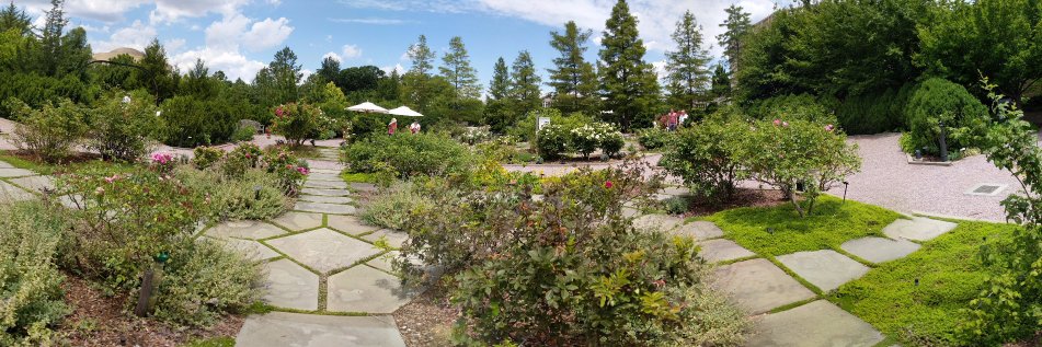 Samantha Sherwin 🧡 banner