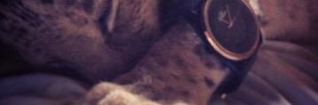 عبدالكريم البلوي banner