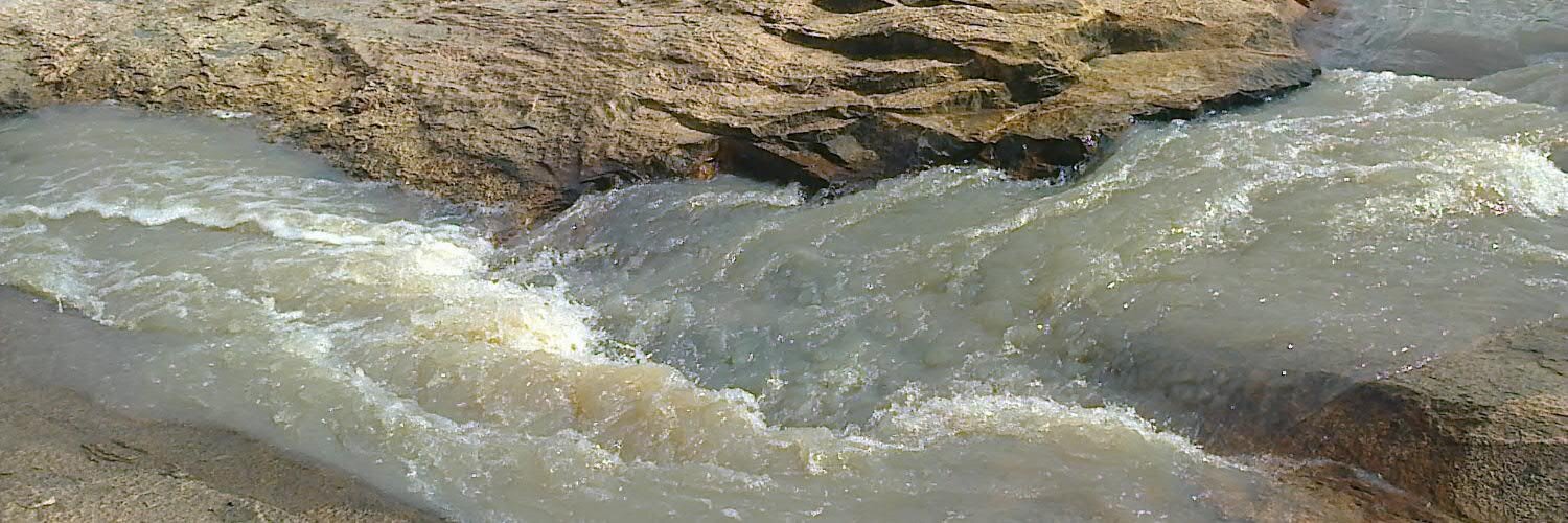 FloretteM Mangwaya banner