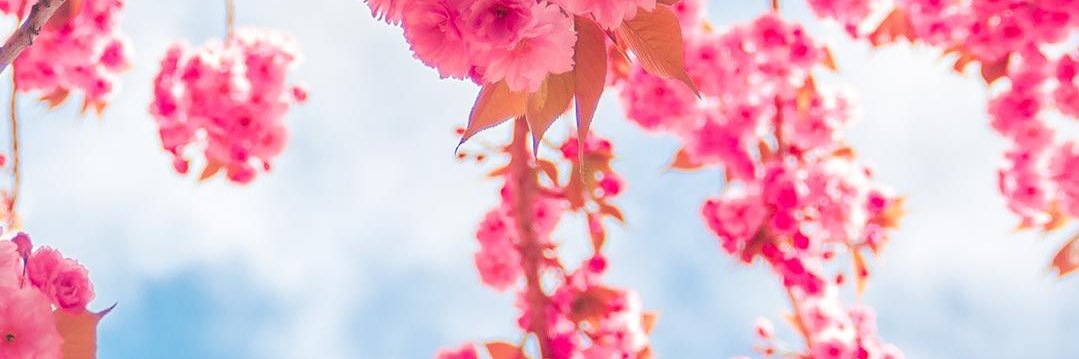 yanineb17's profile banner image
