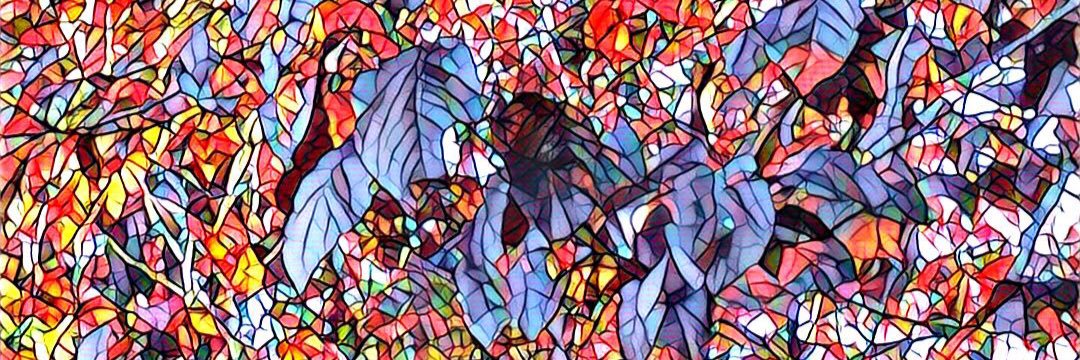 TwinMomKate's profile banner image