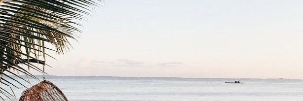 Stefi_Boni's profile banner image