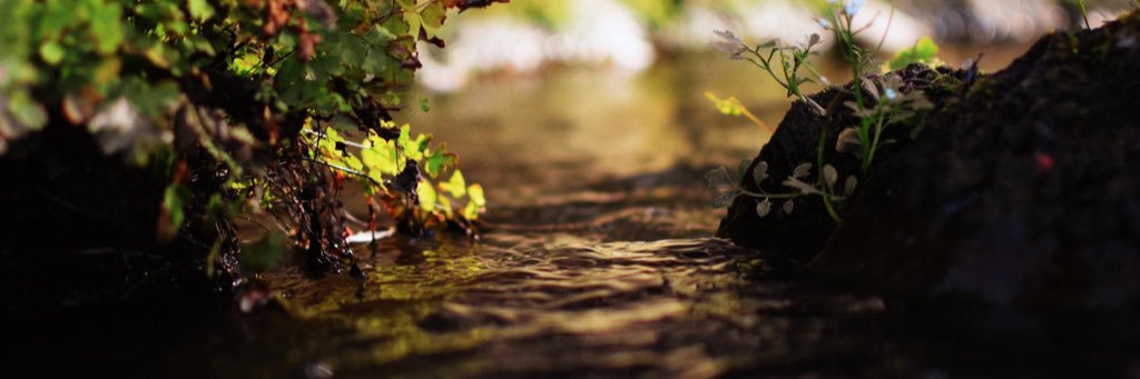 hachiman815's profile banner image