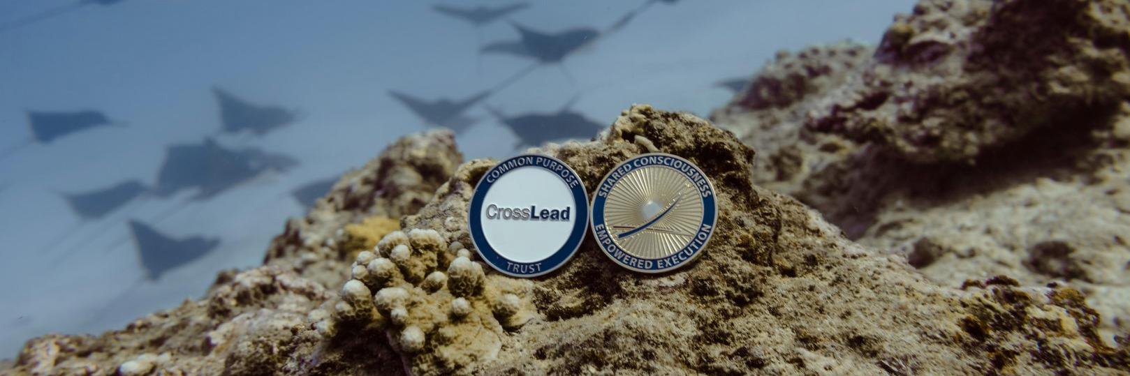 pmorschauser's profile banner image