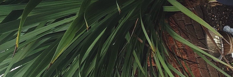 milenanarr's profile banner image