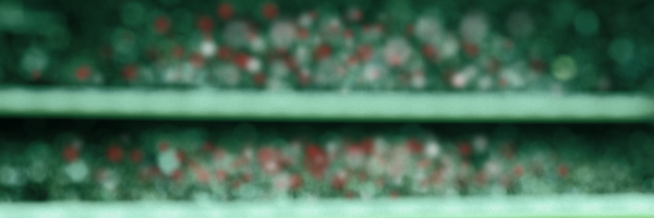 StephsMaldonado Profile Banner