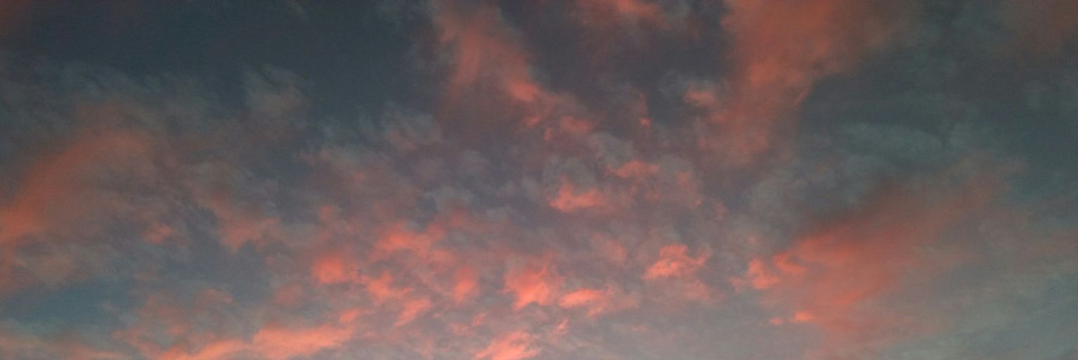 MernaHussin1's profile banner image