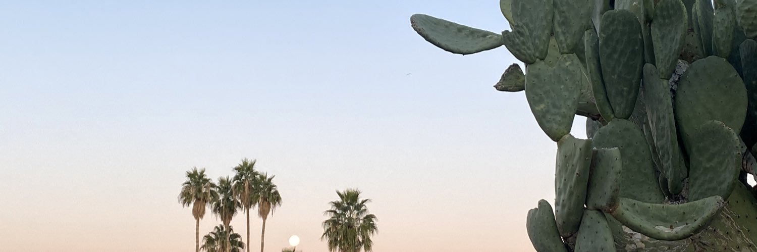 bittersmom's profile banner image