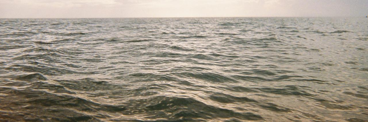 gal_debord's profile banner image