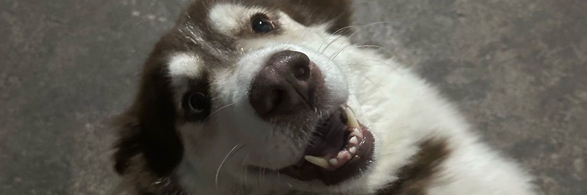 Roq7's profile banner image