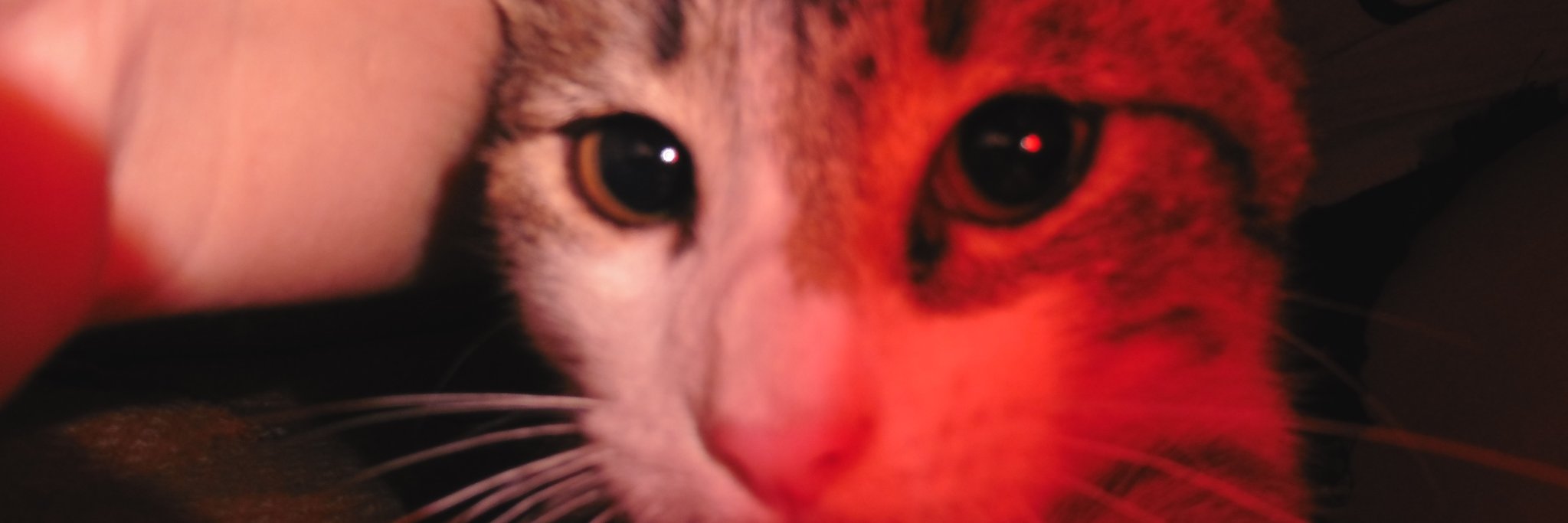 IamYime's profile banner image