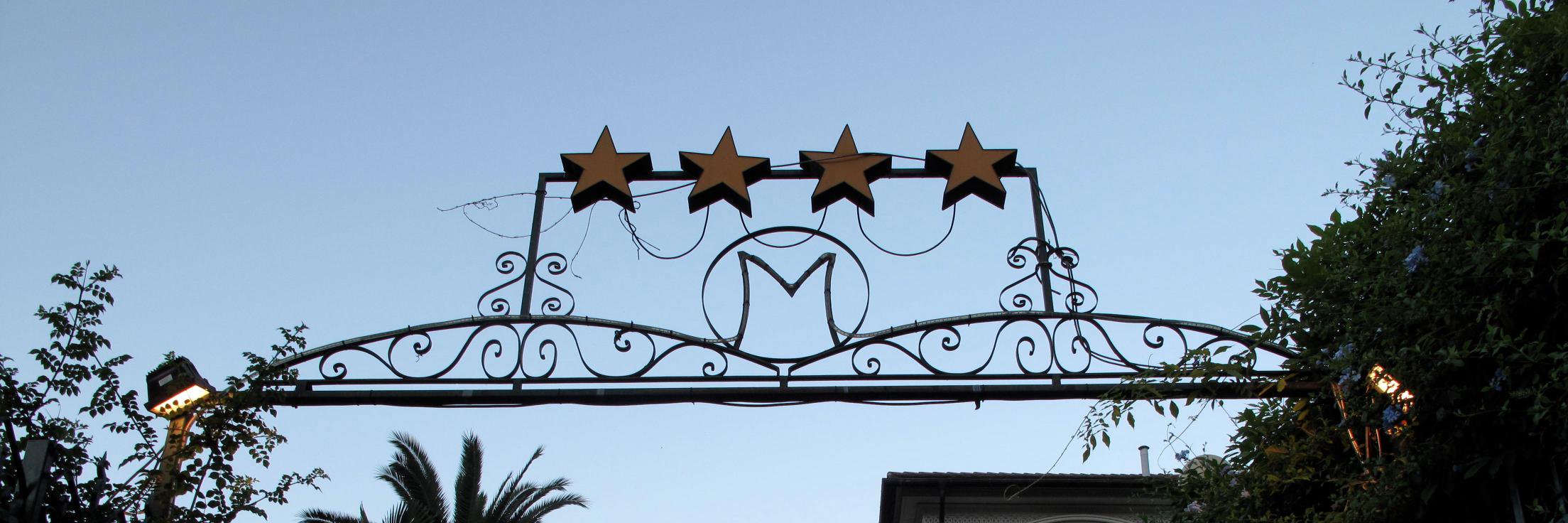 Melissa Chessher banner