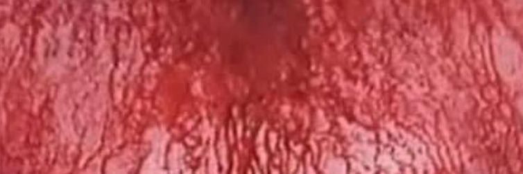 Falk Walk With Me banner