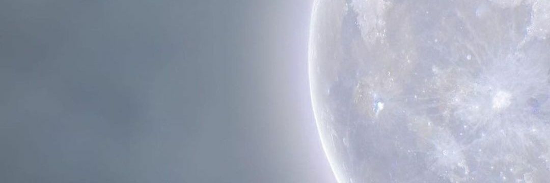 W01Melissa's profile banner image
