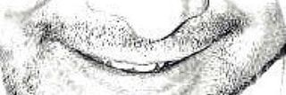 bugae_semende's profile banner image