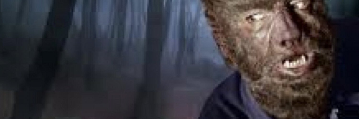 markdmitri's profile banner image