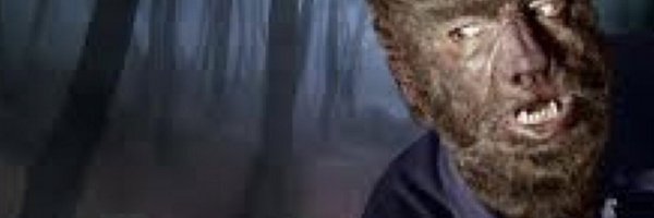 markdmitri Profile Banner