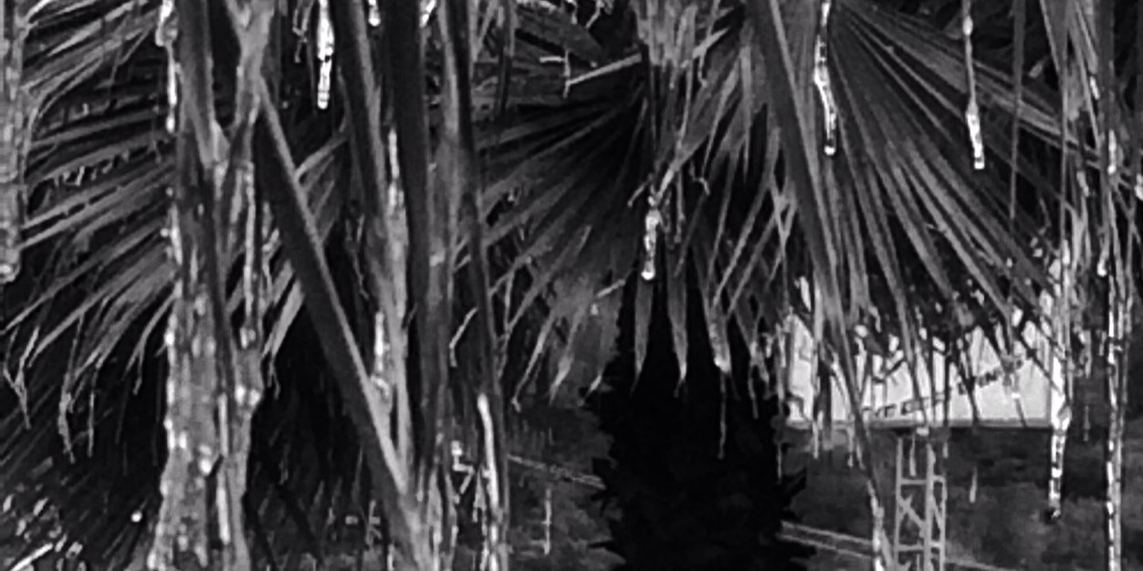 lio2112's profile banner image